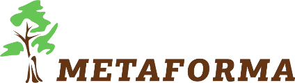 METAFORMA